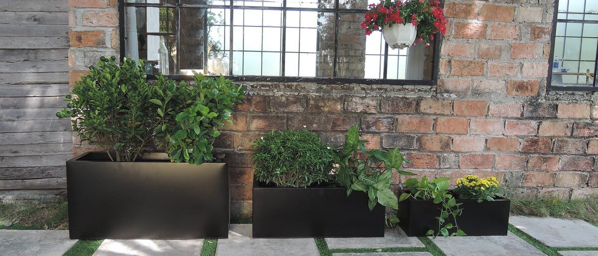 Jardin et terrasse